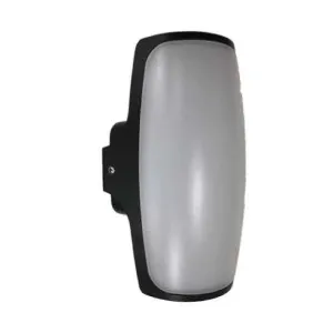12w Blaze Led Outdoor Wall Light SLEDOF255