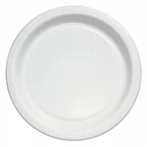 6" Disposable Paper Plate  (1000/cs)