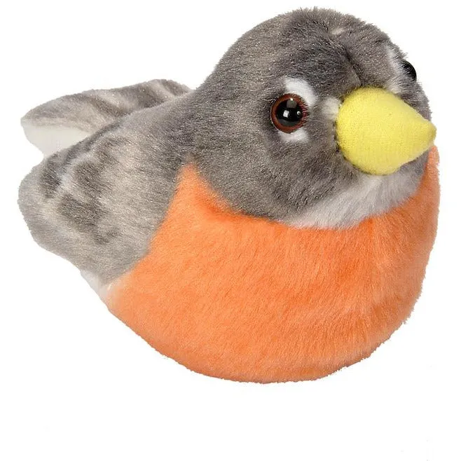 Audubon Birds American Robin