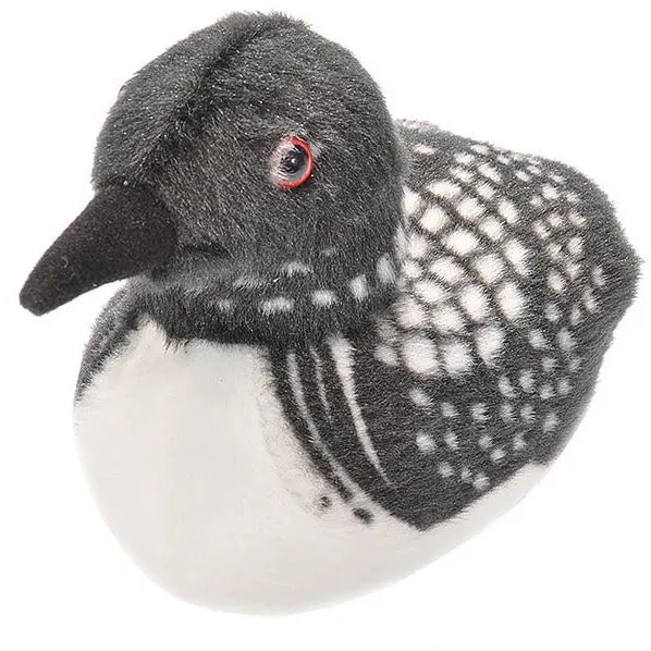 Audubon Birds Common Loon