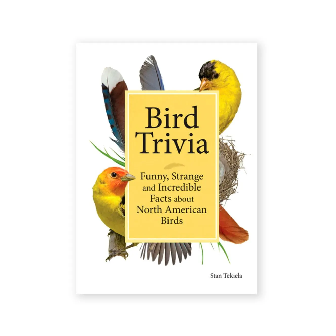 Bird Trivia