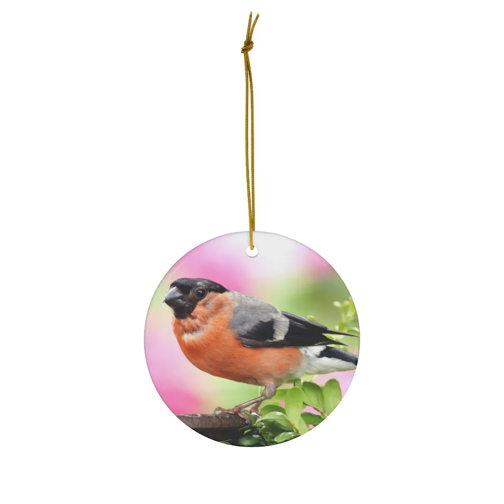 Bullfinch Bird Ceramic Ornament