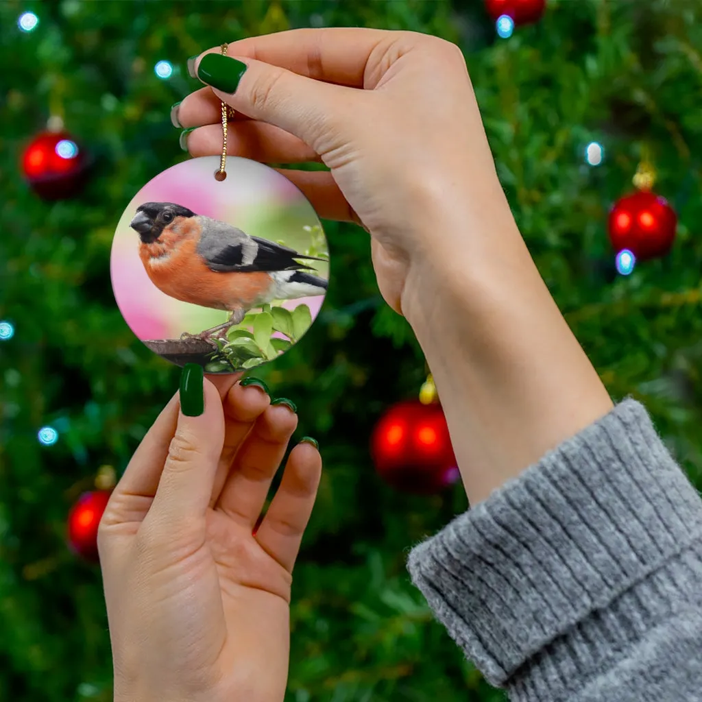Bullfinch Bird Ceramic Ornament