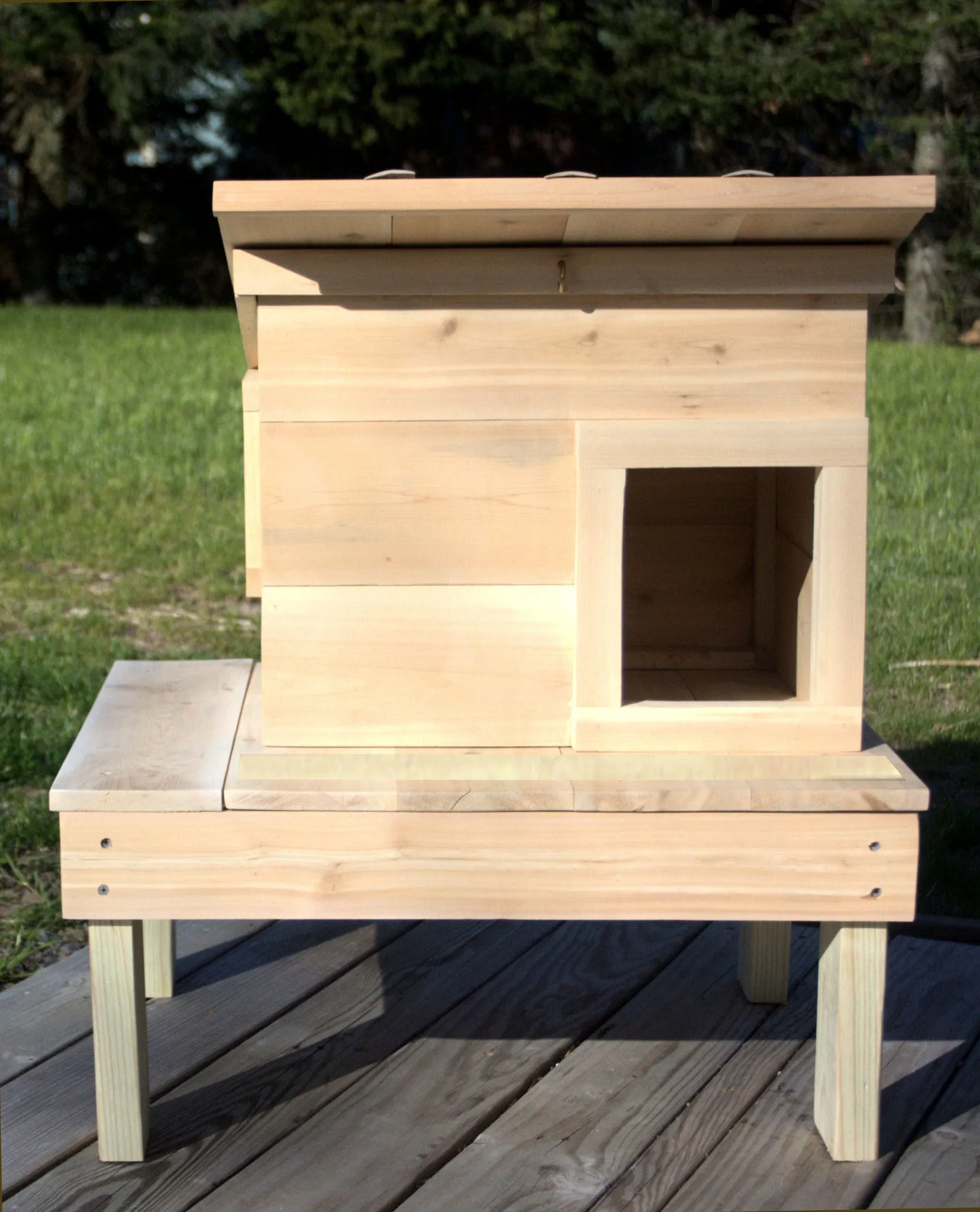 Cat House