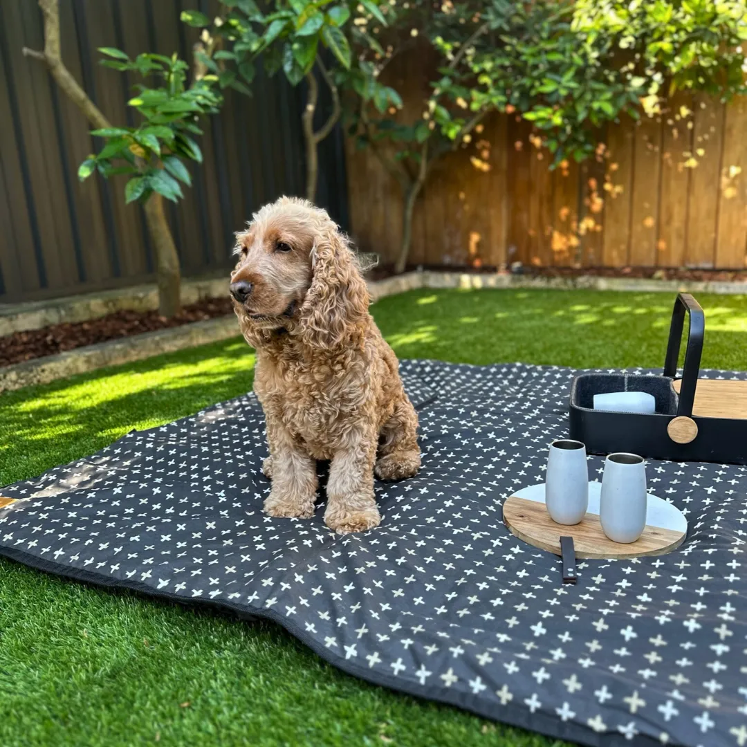 Dog Car Seat Cover - Black Metallic Cross