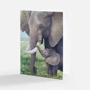 Elephant Notecard Pack