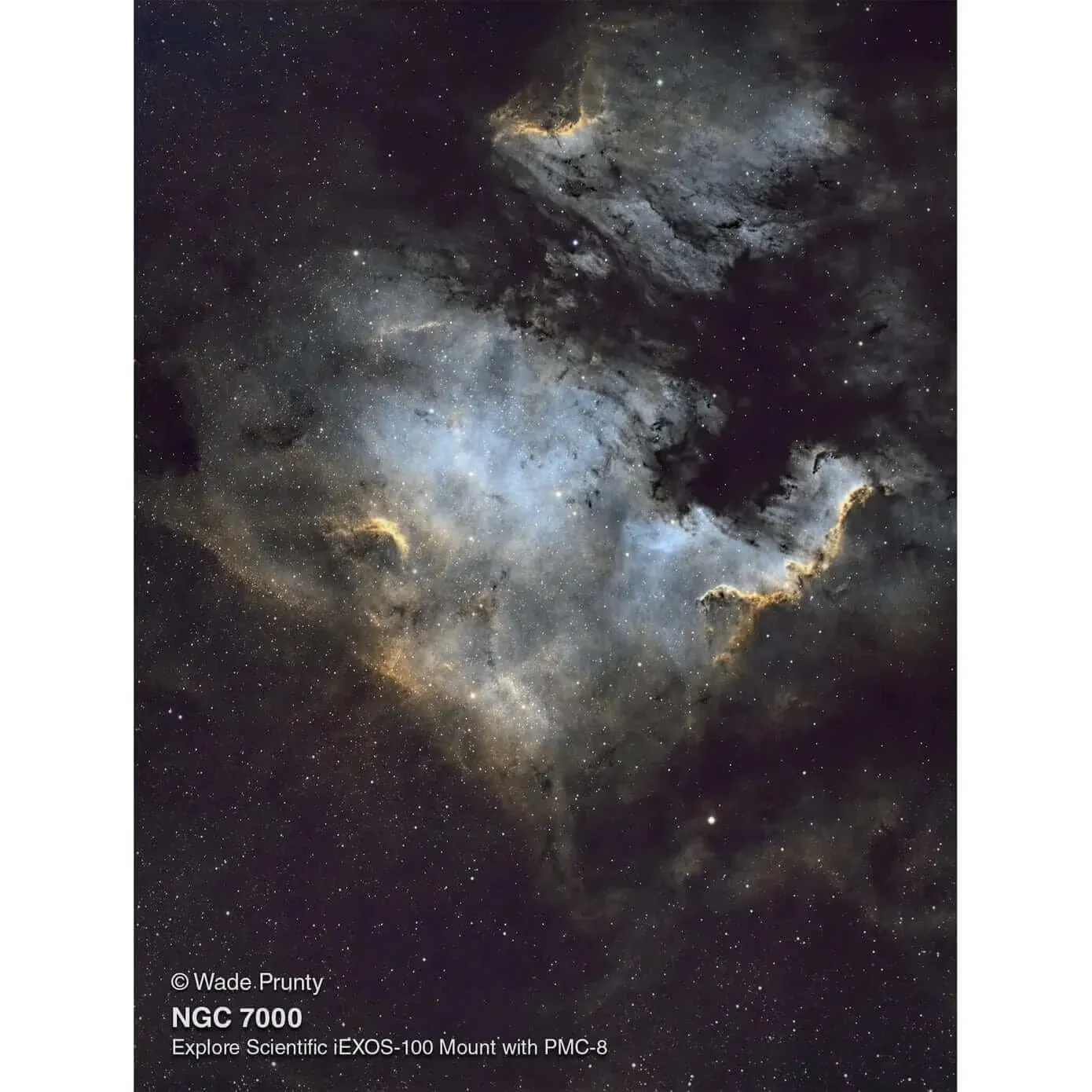 Explore FirstLight 130mm f/4.6 Newtonian Telescope with iEXOS-100 PMC-Eight Equatorial Tracker System