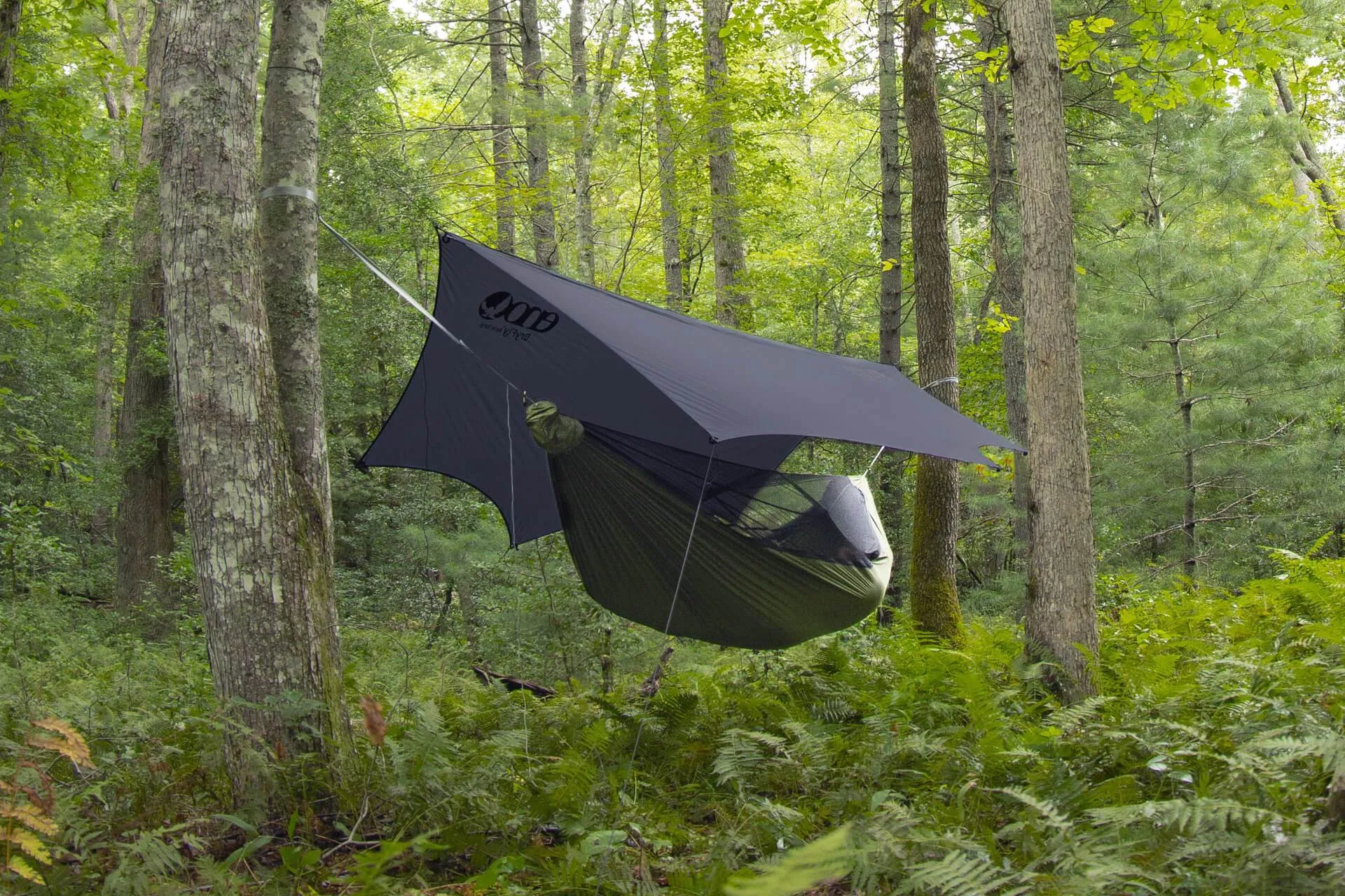 JungleLink™ Hammock System