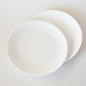 Melamine "Paper" Picnic 11" Plate