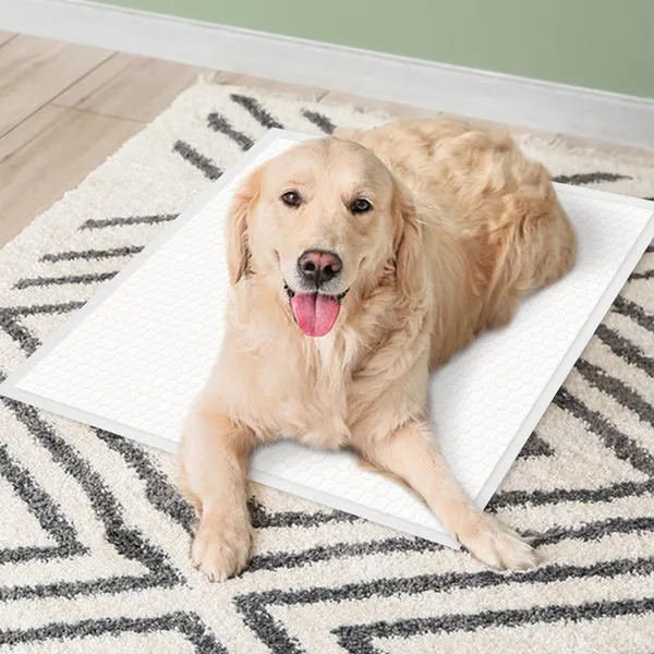 NatureTails™ Disposable Dog Pee Pads