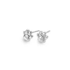 Paw print studs