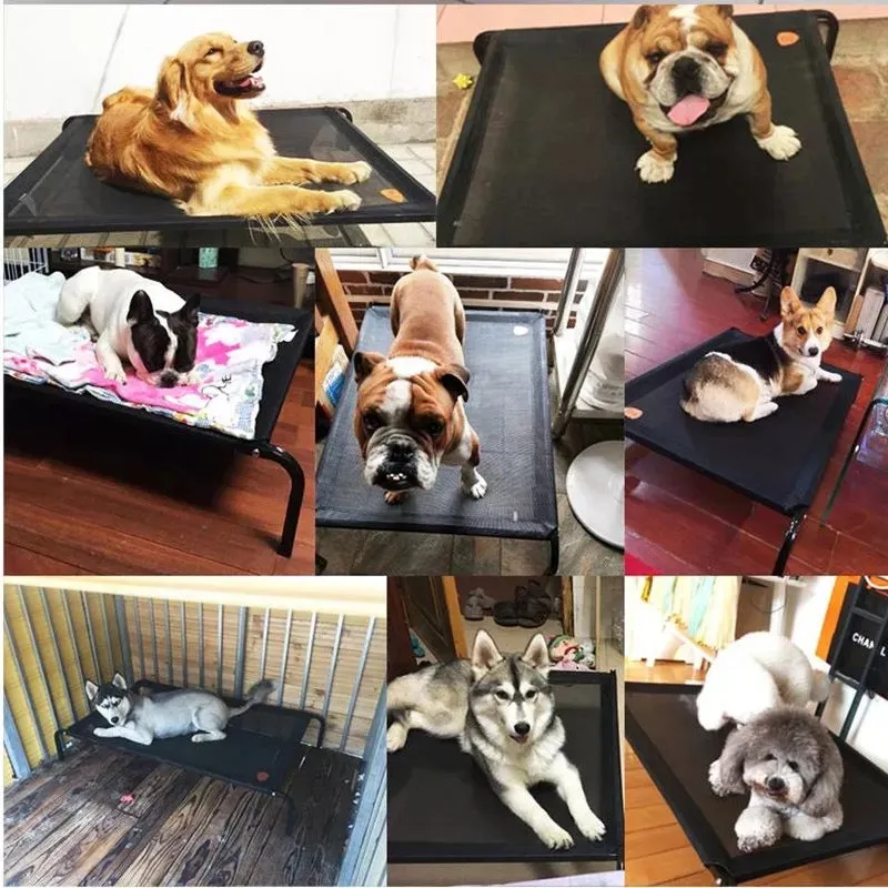 Pet Hammock