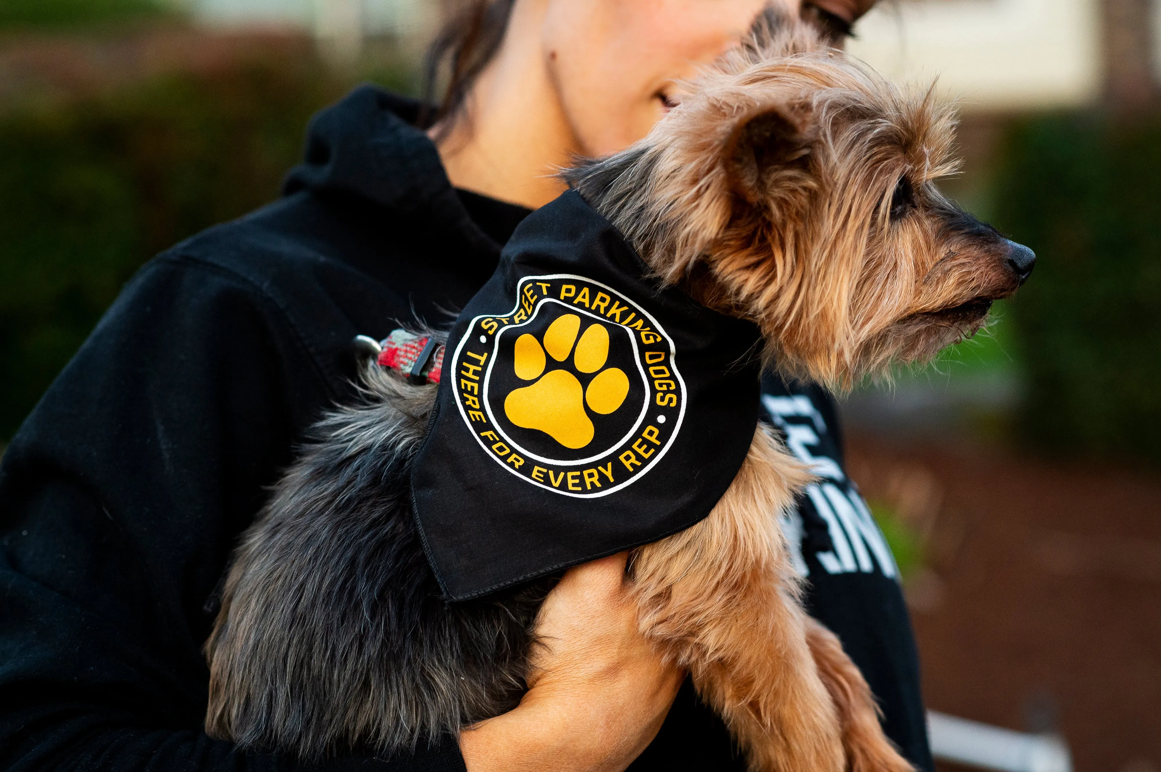 Street Parking Dog Bandana