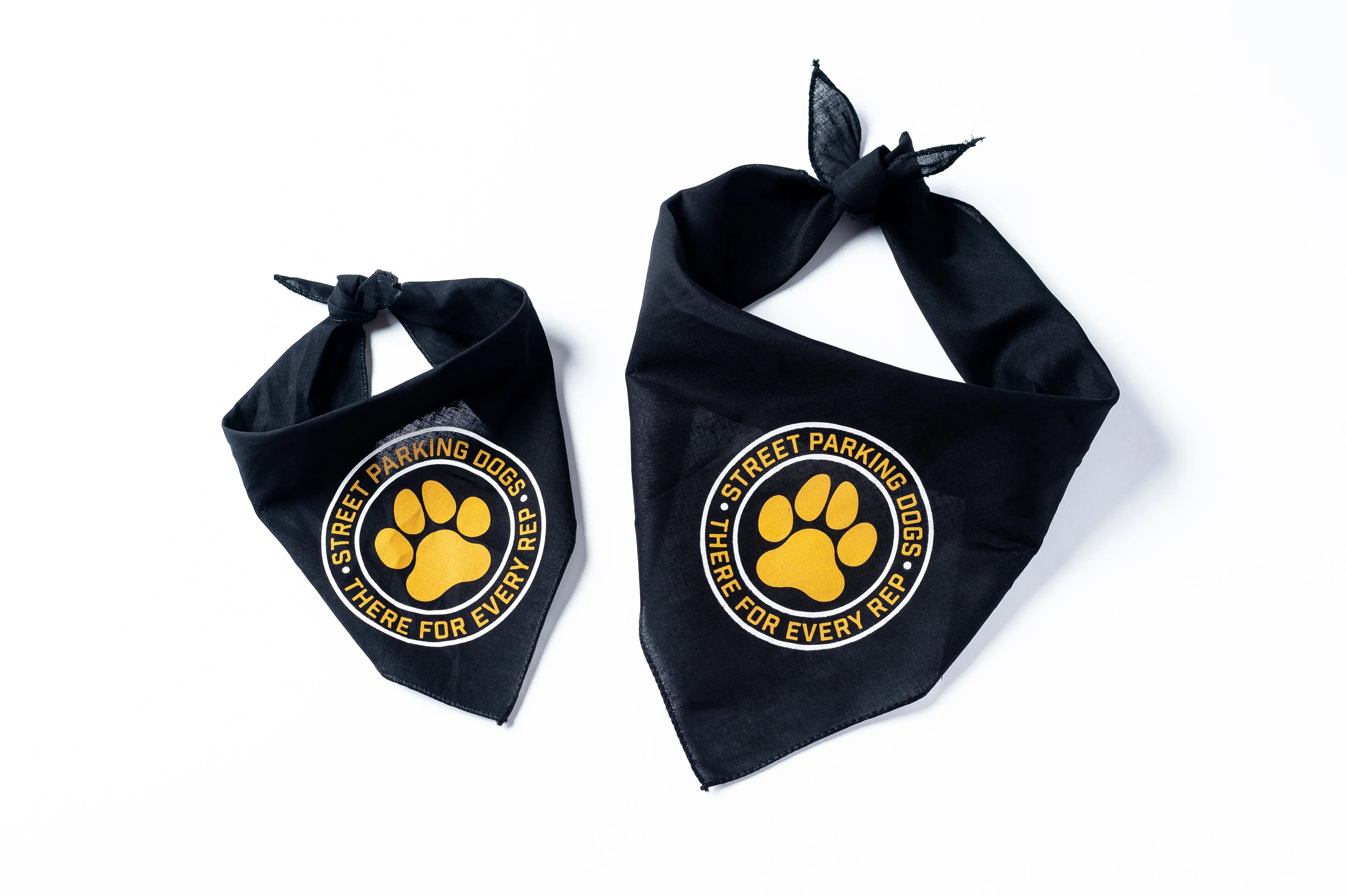 Street Parking Dog Bandana