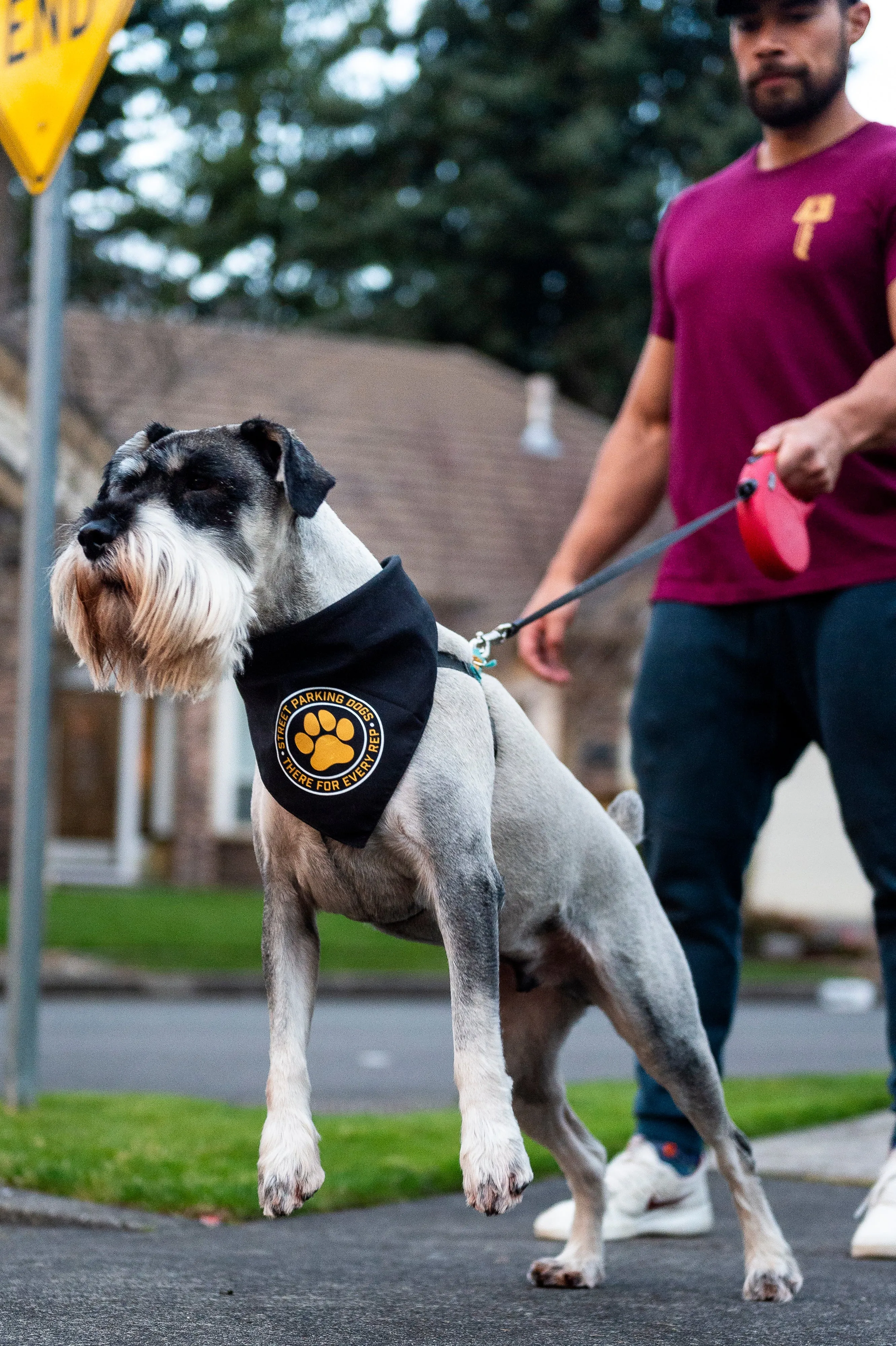Street Parking Dog Bandana