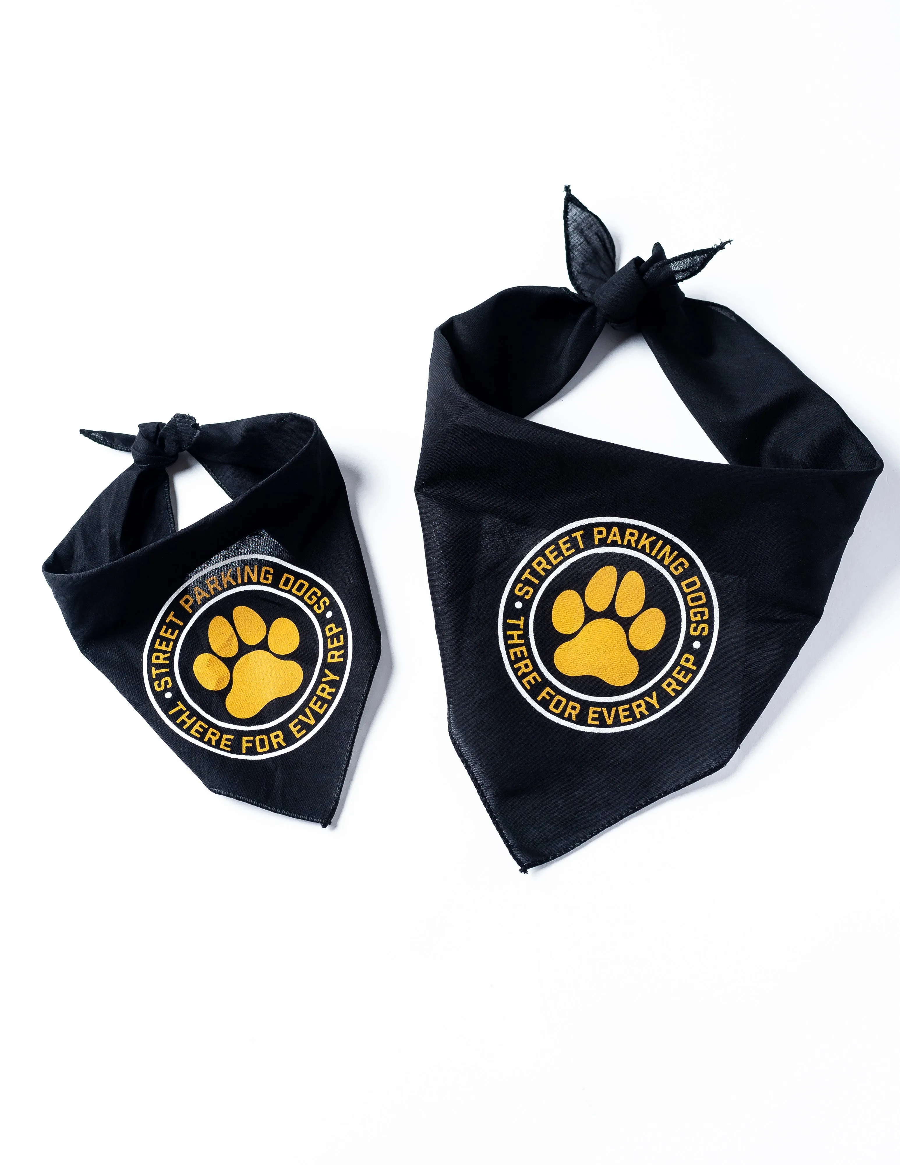 Street Parking Dog Bandana