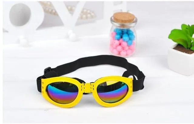 UV Protection Goggles for Dogs - Shield Your Pup's Eyes from Harmful Rays!