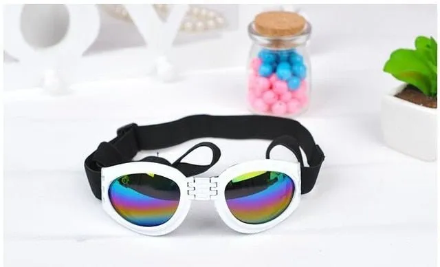 UV Protection Goggles for Dogs - Shield Your Pup's Eyes from Harmful Rays!
